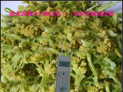 精準(zhǔn)把控水分，賦能品質(zhì)升級(jí) 中國高場(chǎng)能蔬菜水分儀與水果片水分測(cè)定儀全解析